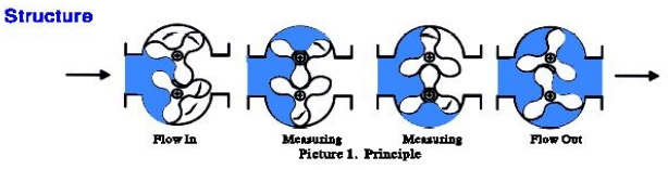 p5.jpg